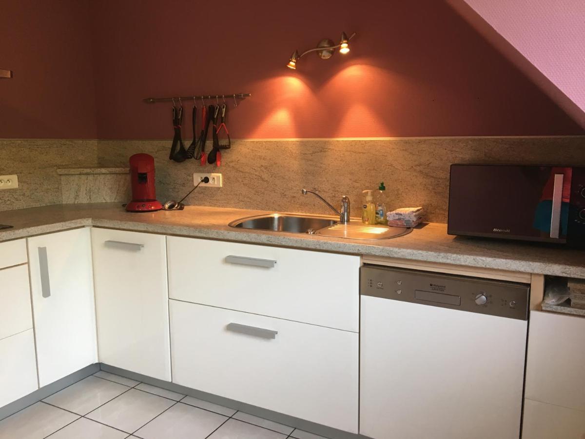 Le Panorama Apartment Kaysersberg-Vignoble Екстериор снимка