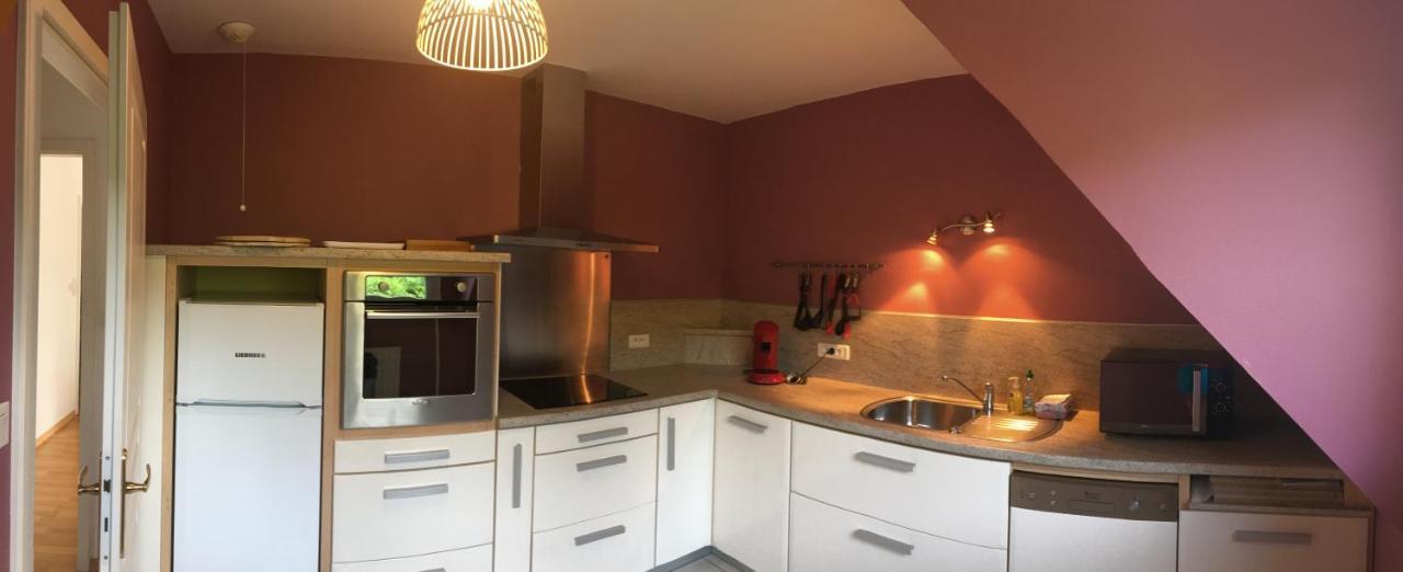 Le Panorama Apartment Kaysersberg-Vignoble Екстериор снимка