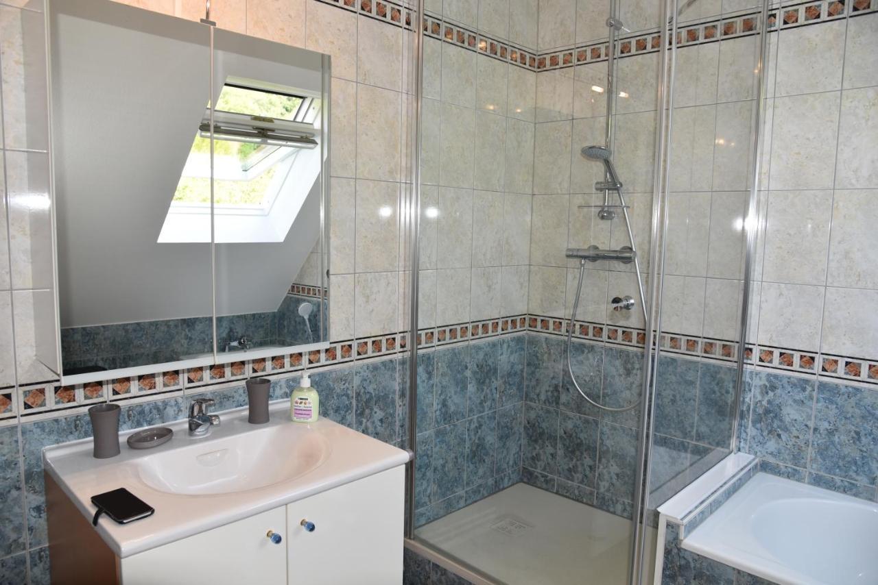 Le Panorama Apartment Kaysersberg-Vignoble Екстериор снимка