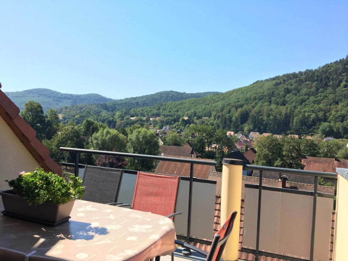 Le Panorama Apartment Kaysersberg-Vignoble Екстериор снимка