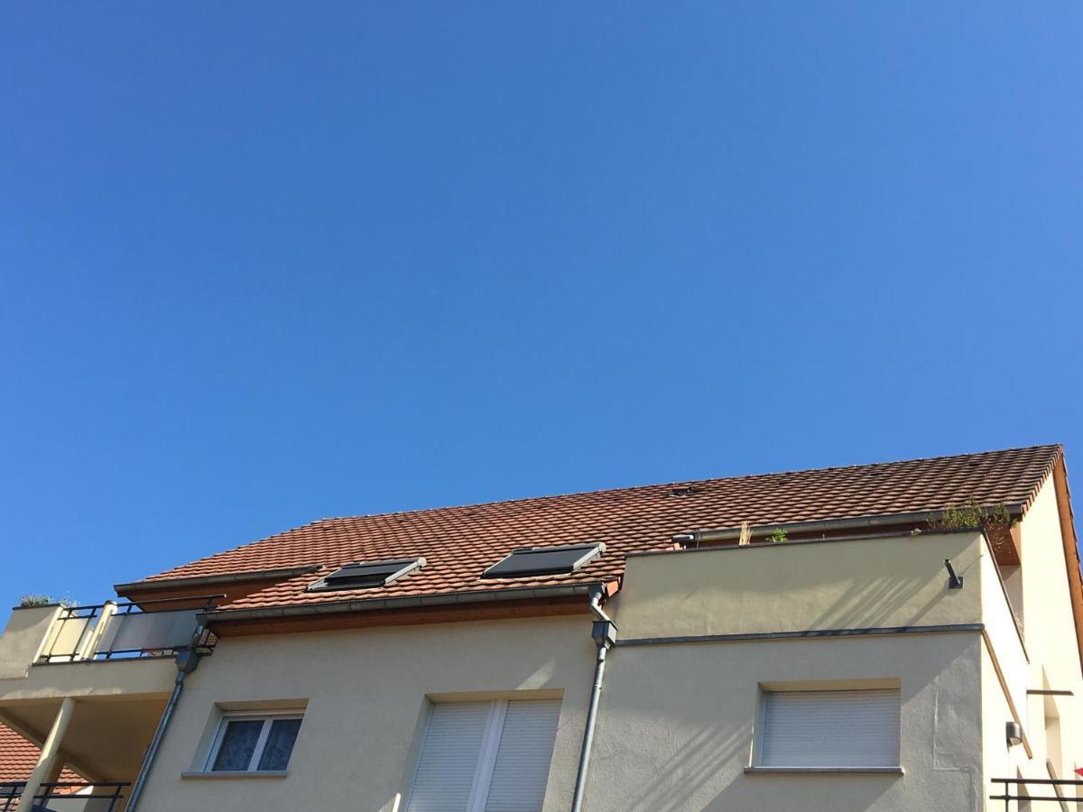 Le Panorama Apartment Kaysersberg-Vignoble Екстериор снимка