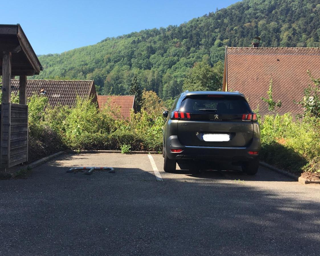 Le Panorama Apartment Kaysersberg-Vignoble Екстериор снимка