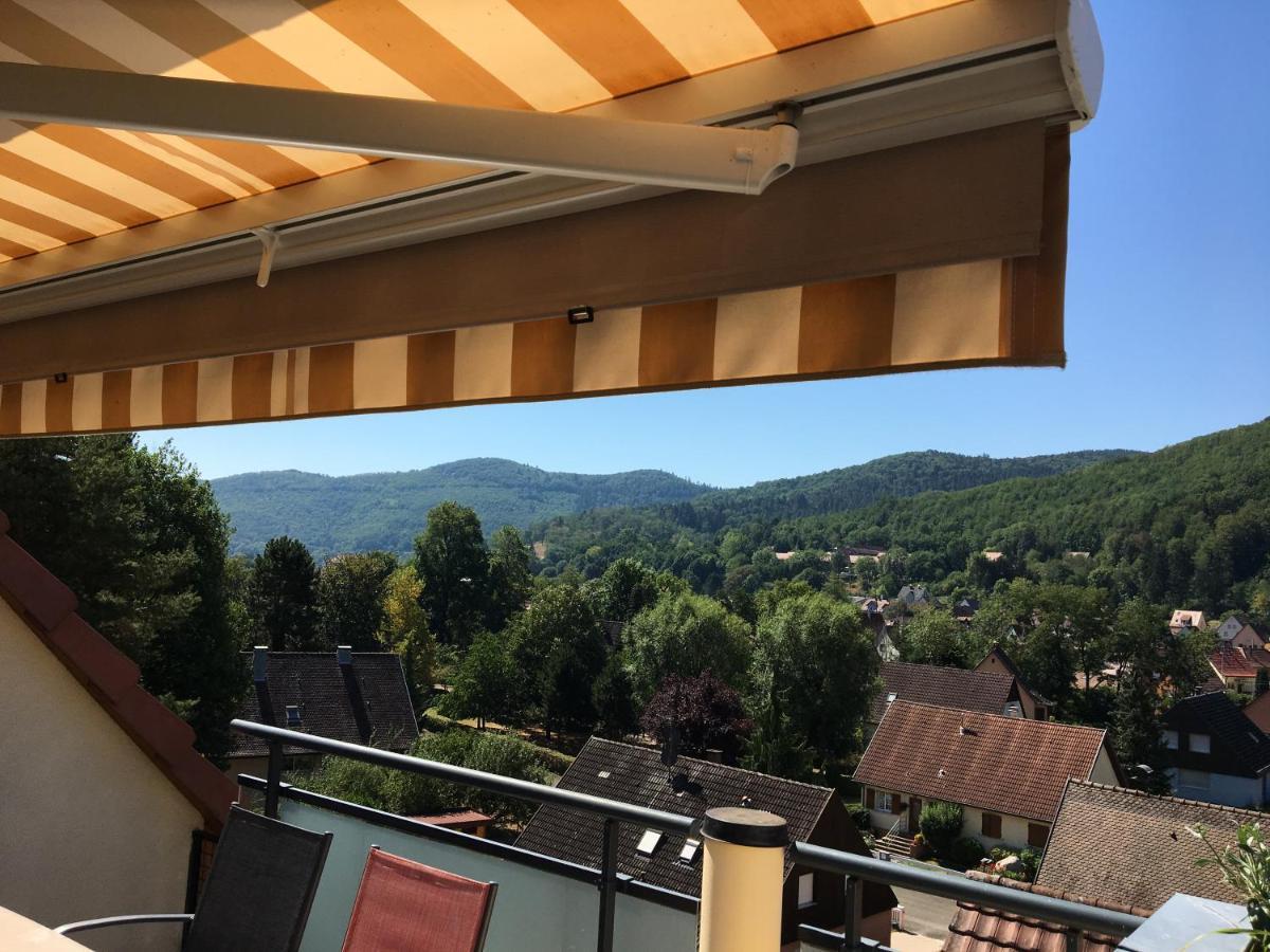 Le Panorama Apartment Kaysersberg-Vignoble Екстериор снимка