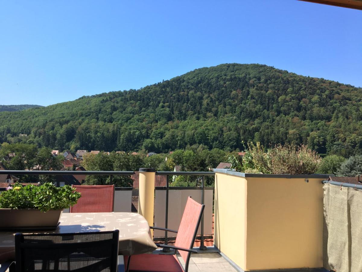 Le Panorama Apartment Kaysersberg-Vignoble Екстериор снимка