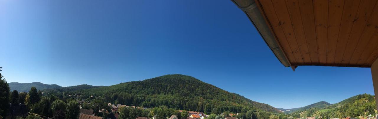 Le Panorama Apartment Kaysersberg-Vignoble Екстериор снимка